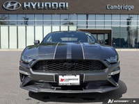 *2019 Ford Mustang EcoBoost Premium Convertible | Automatic | Turbocharged | Low KM* Iconic design m... (image 7)