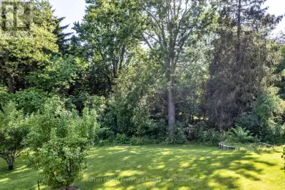 Great building lot approximately .33Acres!! Located on a no thoroughfare street with mature trees an...