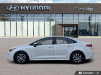 *2024 Toyota Corolla Hybrid LE | Fuel-Saving Hybrid | Advanced Safety* *Get the best of efficiency,... (image 1)