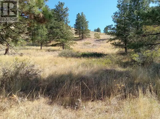 1024 BULLMOOSE Trail Lot# 8 Osoyoos, British Columbia in Land for Sale in Penticton - Image 16