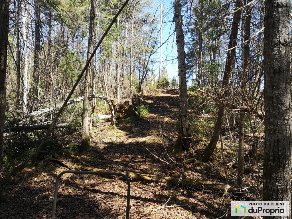 $75,000 - Residential Lot for sale in Alma — photo 3