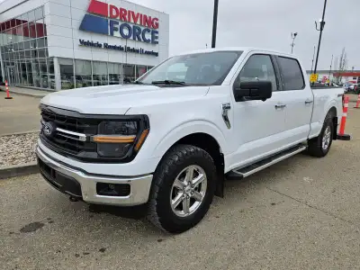 2024 Ford F-150 XLT 4WD SuperCrew 6.5' Box, 3.5L V6 Gas, Keyless Entry, Back Up Camera DRIVING FORCE...