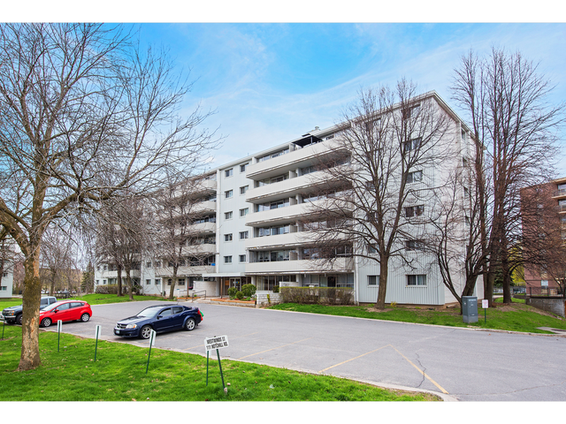 1 Bedroom Apartment for Rent - 111-131 Notch Hill Road