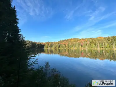Terrain boisé au bord de l'eau https://vimeo.com/1193281470?share=copy&fl=sv&fe=ci Terrain boisé sit...