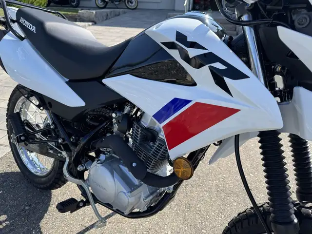 2025 Honda XR150L Standard in Street, Cruisers & Choppers in Kitchener / Waterloo - Image 12
