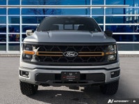 One Local Owner, Clean CarFax, Carbonized Gray Metallic 2025 Ford F-150 Tremor 4X4, 10-Speed Automat... (image 8)