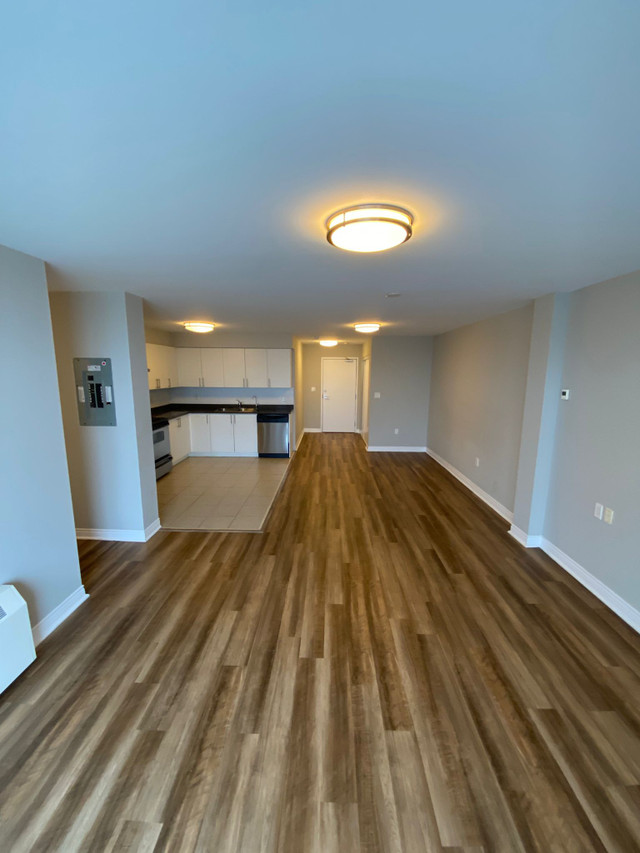 BRAND NEW RENOVATED 3 BEDROOM LUXURY APARTMENTS IN OTTAWA in Long Term Rentals in Ottawa - Image 4