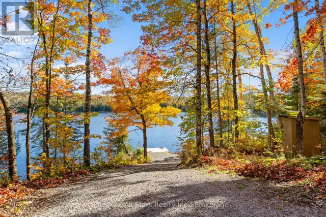 100 RUSSELL DRIVE Trent Lakes, Ontario in Land for Sale in Muskoka - Image 23