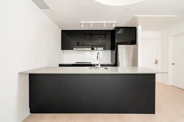 Condo Loft LUXE 5 1/2 (2 floors) for rent - Griffintown62864750454531122