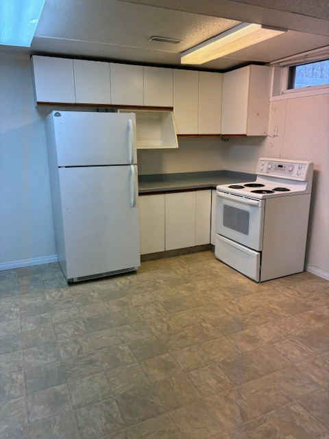 Spacious and bright 1bed   den basement suite-Eastside location