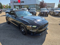 2022 Ford Mustang EcoBoost Convertible- AB Vehicle with only previous owner and has an accident & da... (image 1)