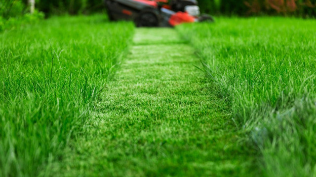 LANDSCAPE MAINTENANCE COMMERCIAL GRASS CUTTING in Construction & Trades in Mississauga / Peel Region