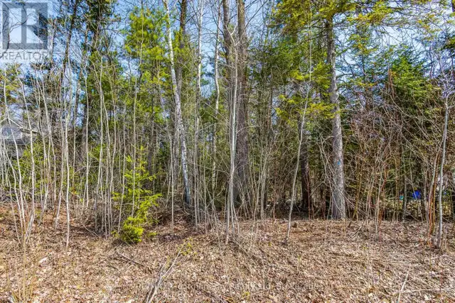 LOT 102 EMILIO STREET Tiny, Ontario in Land for Sale in Barrie - Image 4