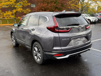 Recent Arrival! Certified. EX-L|AWD|Leather|Sunroof|CarPlay 2022 Honda CR-V EX-L EX-L|AWD|Leather|Su... (image 5)