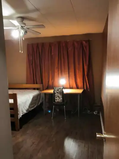 Northgate Mall  furnished room in the shared Apt available immed