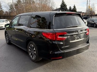 Certified. EX-L|Leather|Sunroof|CarPlay 2024 Honda Odyssey EX-L EX-L|Leather|Sunroof|CarPlay Crystal... (image 4)