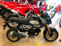 2024 Honda MSX125R Grom