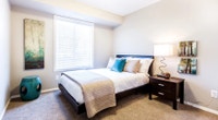 Broadstreet's Dansereau Apartments offers 1, 2, and 3 bedroom pet friendly apartments, and 3 bedroom... (image 5)