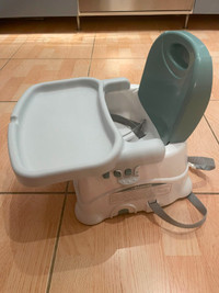 Fisher-Price Healthy Care Deluxe Booster Seat