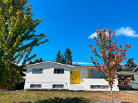 Ultra Funky, Retro-Style Family Home In Glenmore!