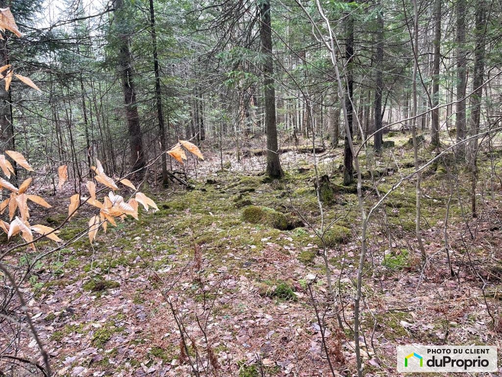 $589,999 - Residential Lot in Sherbrooke (St-Élie-d'Orford) — photo 1