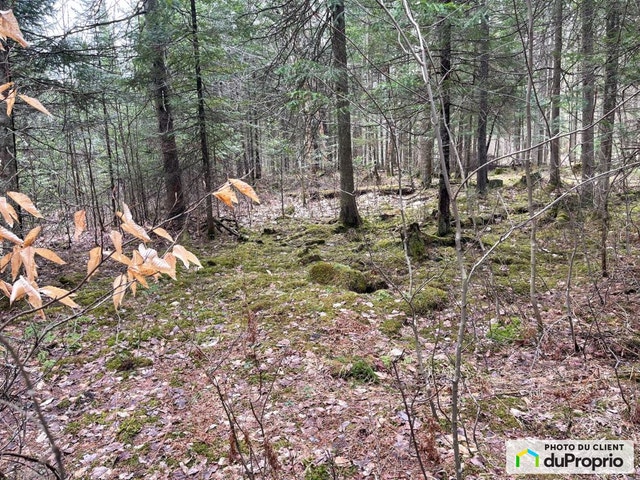 $589,999 - Residential Lot in Sherbrooke (St-Élie-d'Orford) — photo 1