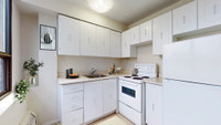 Current Promotions Limited Time Offer | 2 Months FREE on a 14 Months Lease!* Limited Time Offer | 2... (image 5)