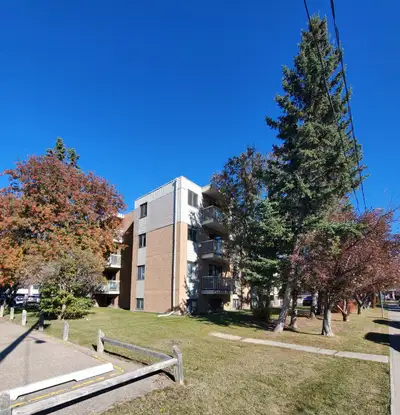 Modern 1 Bed Apartment – Pet Friendly & Steps from RDP!