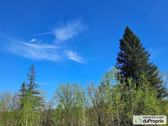 $500,000 - Residential Lot for sale in Ste-Beatrix — photo 2