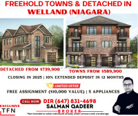 Book New Towns and Detached Niagara Region!