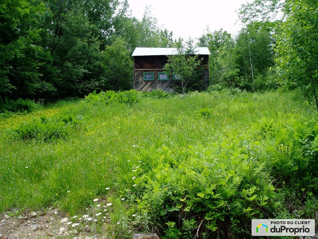$599,999 - 2 Storey for sale in Mont-Tremblant — photo 3