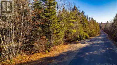 166.5+/- ACRES starting on Clarence ridge that backs onto Boyd Road. Build a house with tons of land...