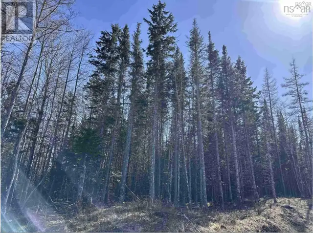 Lot 16 - Lower River Road Grantville, Nova Scotia in Land for Sale in Cape Breton - Image 10