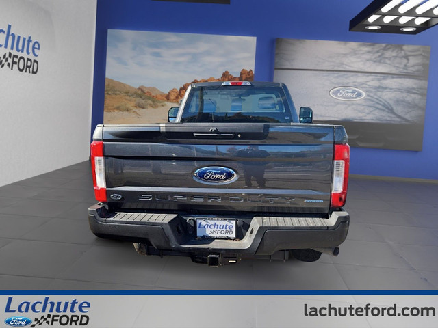 Ford Super Duty F-250 SRW XL 4WD Reg Cab 8' Box 2019 à vendre dans Autos et camions  à Laurentides - Image 4