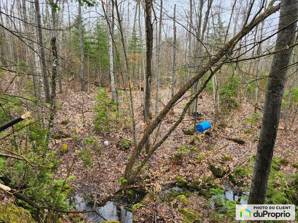 $100,000 - Residential Lot for sale in St-Alphonse-Rodriguez — photo 3
