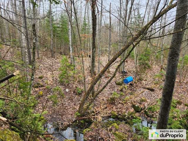 $100,000 - Residential Lot for sale in St-Alphonse-Rodriguez — photo 3