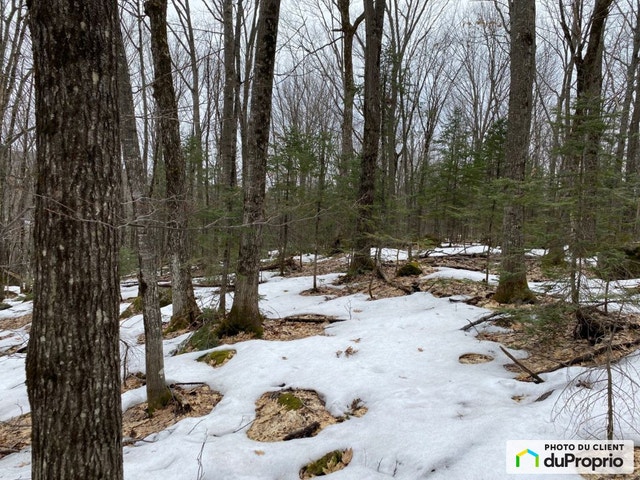 $259,000 - Residential Lot for sale in Prevost — photo 2