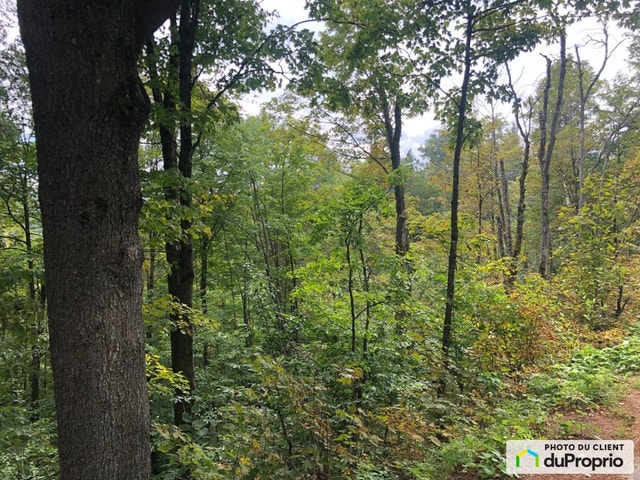 $90,000 - Residential Lot for sale in Ste-Marcelline-De-Kildare — photo 2