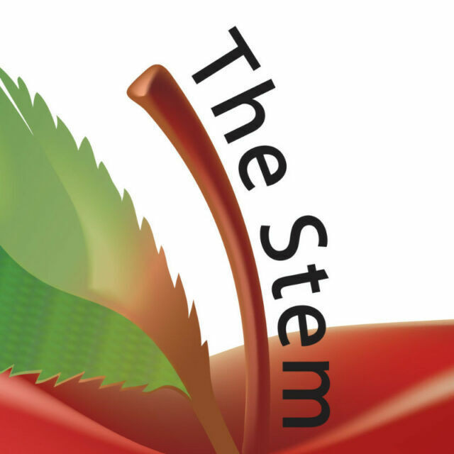 Calgary iPhone & iPad Screen Repair & More- The Stem Group in Cell Phone Services in Calgary - Image 2