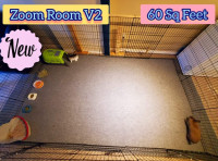 Expert Rabbit Boarding w XL Prvt Rooms 48-60 sq ft - 40 Yrs Exp.