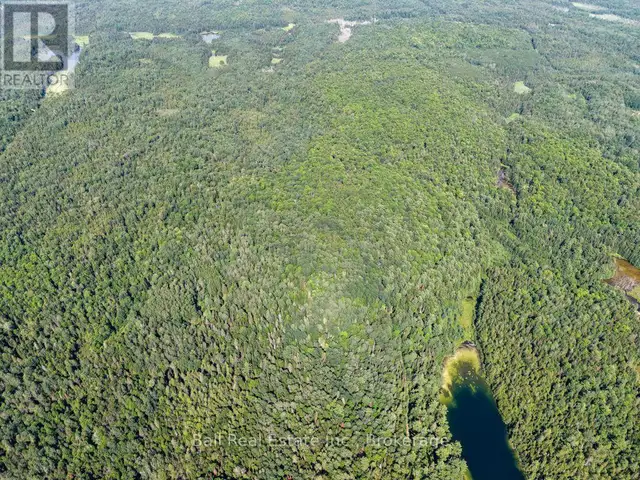 382 OLD DETLOR ROAD Bancroft (Dungannon Ward), Ontario in Land for Sale in Trenton - Image 11