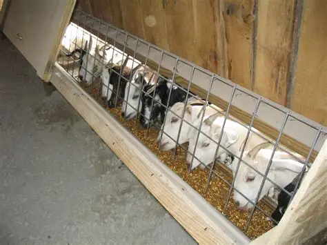 Hand Hills Feeds Livestock Feed and Minerals in Equestrian & Livestock Accessories in Medicine Hat - Image 7