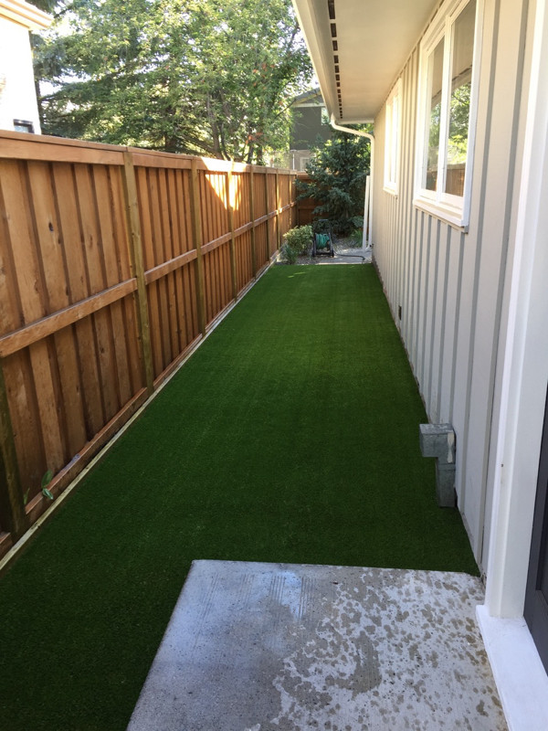 Pet-Friendly Artificial Turf in Animal & Pet Services in Calgary - Image 2
