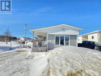 3008 Harrie Lake Drive Labrador City, Newfoundland & Labrador