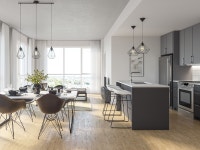 2cc-4.5-4 1/2-2 chambres bedroom rental apartment for rent-logement locatif-Saint-Henri-Griffintown-... (image 6)