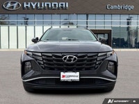 *2022 Hyundai Tucson Preferred | Heated Seats | CarPlay | Safety Suite* *Modern design, advanced tec... (image 7)