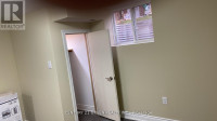 LOWER - 25 THORNRIDGE CRESCENT Kitchener, Ontario Kitchener / Waterloo Kitchener Area Preview