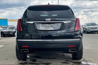Welcome to Carter Cadillac Ltd. . (image 5)