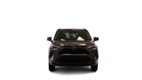 Recent Arrival! 2023 Toyota RAV4 XLE Magnetic Gray AWD, D3-Black Cloth. 2.5L 4-Cylinder DOHC 8-Speed... (image 3)
