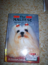 THE MALTESE DOG